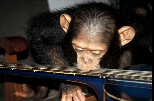 Future the chimp plays with a guitar