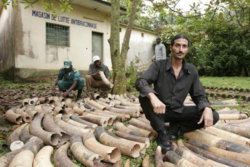 Ofir Drori with seized ivory